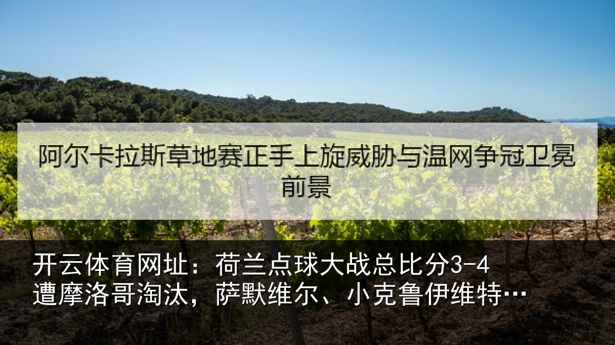 开云体育网址：荷兰相关情况摩洛相关情况克鲁伊维特丢点