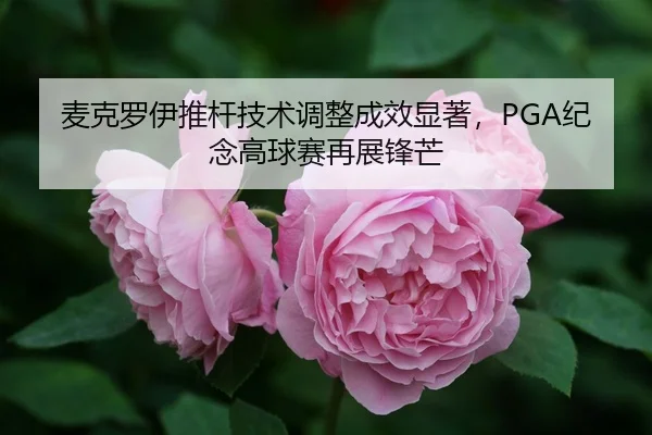 mai-ke-luo-yi-tui-gan-ji-shu-tiao-zheng-cheng-xiao-xian-zhu-ji-nian-gao-qiu-sai-zai-zhan-feng-mang-3-999.jpg