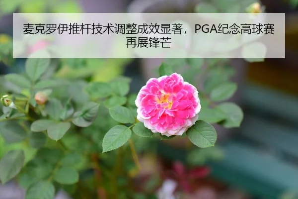 麦克罗伊推杆技术调整成效显著，PGA纪念高球赛再展锋芒